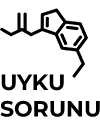 Uyku Sorunu